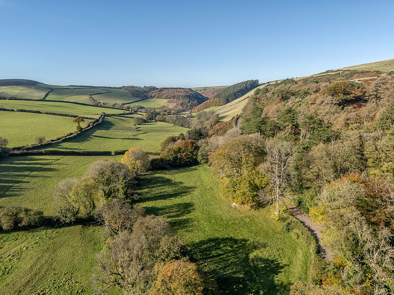 Hedged fields and wooded slopes in an Exmoor valley beneath a blue sky