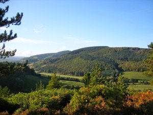 Wooded hills and a green valley near Dunster