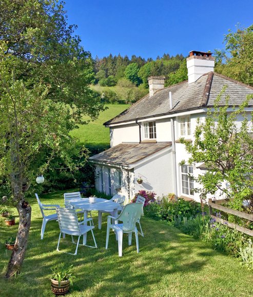 Pennywood Garden Cottage surrounded by trees